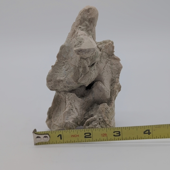 Natural Oreodont Vertebra Fossil In Stone Matrix - Picture 4 of 11
